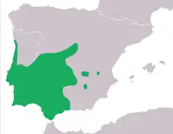 Tritão-marmoreado-pigmeu