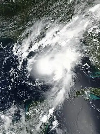 imagem ilustrativa de artigo Furacão Marco (2020)