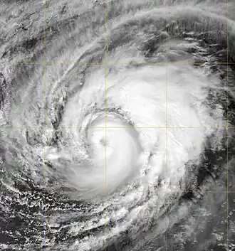 imagem ilustrativa de artigo Furacão Marie (2008)