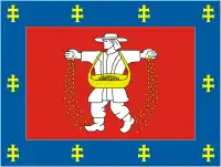 Bandeira de Marijampolė