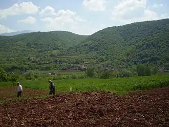 Vue de Marina Kutina