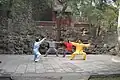 Aula de Taiji Quan estilo Chen no "Fragrant Hills Park", Beijing, China.
