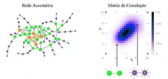 Matriz de correlação de graus de uma rede assortativa