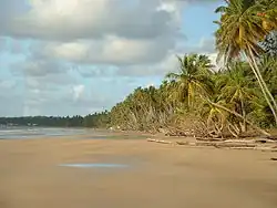Horizonte de Mayaro