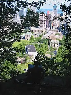 Universidade McGill vista do Monte Royal