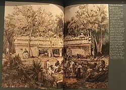 Dado colorido com pano de fundo branco