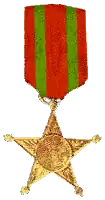 Medalha feridos em campanha.png