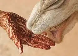 Mão tatuada com hena