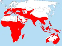 Área aproximada na qual as espécies de abelharuco regularmente se reproduzem.