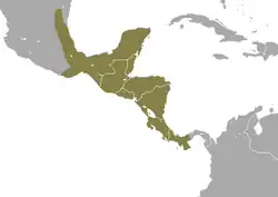 Distribuição da cuíca-mexicana