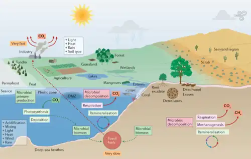 Microorganisms and climate change.png