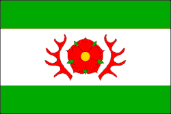 Bandeira de Milínov