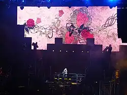 Every Rose Has It's Thorn