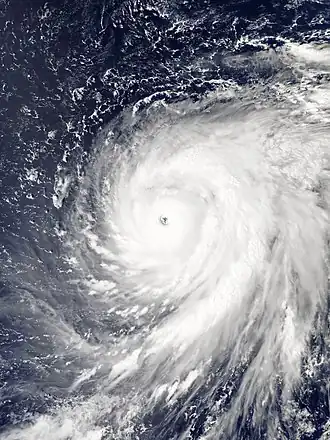 imagem ilustrativa de artigo Tufão Mindulle