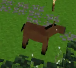 Um cavalo adicionado através do Mod "The Mob Horse"