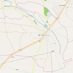 Localização de Mogielnica na Polónia