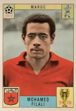 Mohamed El-Filali محمد الفيلالي