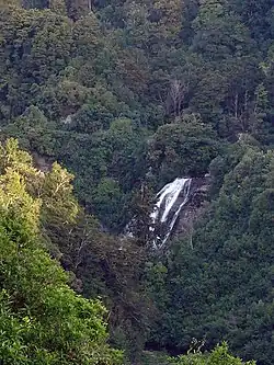 Floresta densa e uma cachoeira