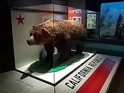 †Ursus arctos californicus — Urso-dourado-da-califórnia