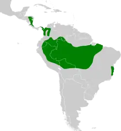 Distribuição do chora-chuva-de-cara-branca na América Central e América do Sul
