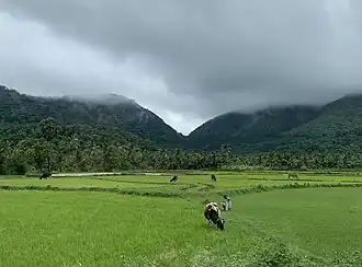 File:Monsoon view of the Sengottai Gap in the Western Ghats.jpg