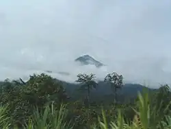 O Monte Camarões emerge entre nuvens, com floresta densa em primeiro plano