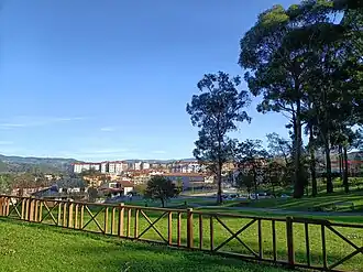 Scattered eucalyptus trees in the north-west of the park