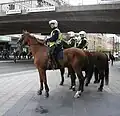 Polícia Montada