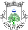 Brasão de armas de Montes da Senhora