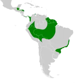 Distribuição do uiraçu-falso