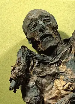 Mulher de Huldremose (ca 95 d.C.)