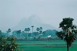 Skyline of Bodh Gaya, India.