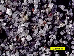 vários fragmentos microscópicos de cinza vulcânica