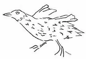 Desenho de Peter Mundy