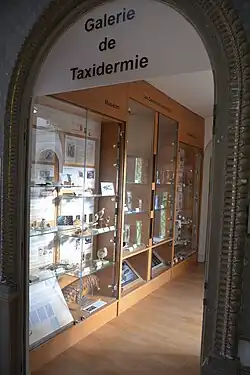 Galeria de taxidermia, Muséum d'Angers