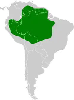 Distribuição geográfica da guaracava-cinzenta-amazônica.