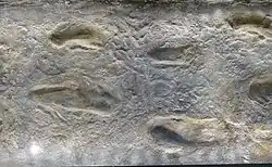 Rastro das pegadas de três seres humanos primitivos que caminharam sobre cinzas vulcânicas úmidas