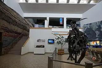 Entrada do museu, 2018