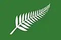 Silver Fern (verde) de Roger Clarke