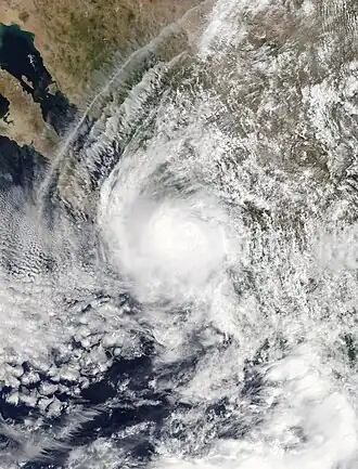 imagem ilustrativa de artigo Tempestade tropical Narda (2019)