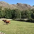 Paisagem de Porta de Lamas de Mouro (Parque Nacional da Peneda-Gerês)