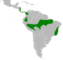 Distribuição do jacu-estalo-de-bico-verde
