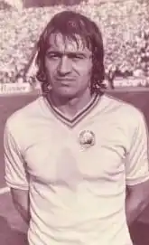 Nicolae Negrilă