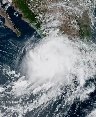 imagem ilustrativa de artigo Furacão Nora (2021)