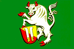 Bandeira de Nové Dvory