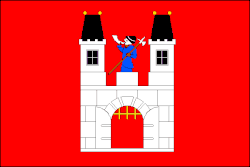 Bandeira de Nový Rychnov