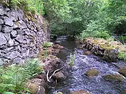 Na reserva natural de Nyckelås