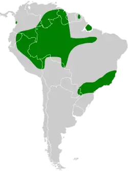 Distribuição do urutau-pardo na América do Sul