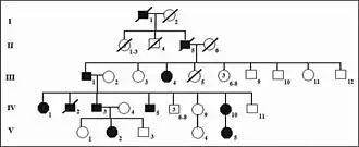 Heredograma da família com membros afetados em diferentes gerações identificando herança autossômica dominante.