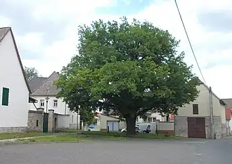 Horizonte de Obhausen